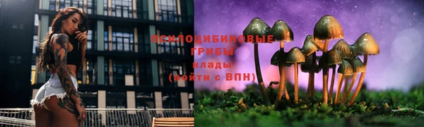 mdma Нефтекумск