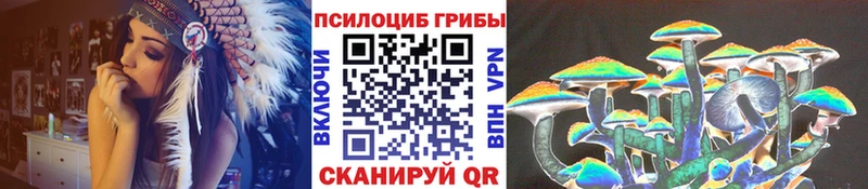 купить закладку  Усть-Кут  Псилоцибиновые грибы ЛСД 