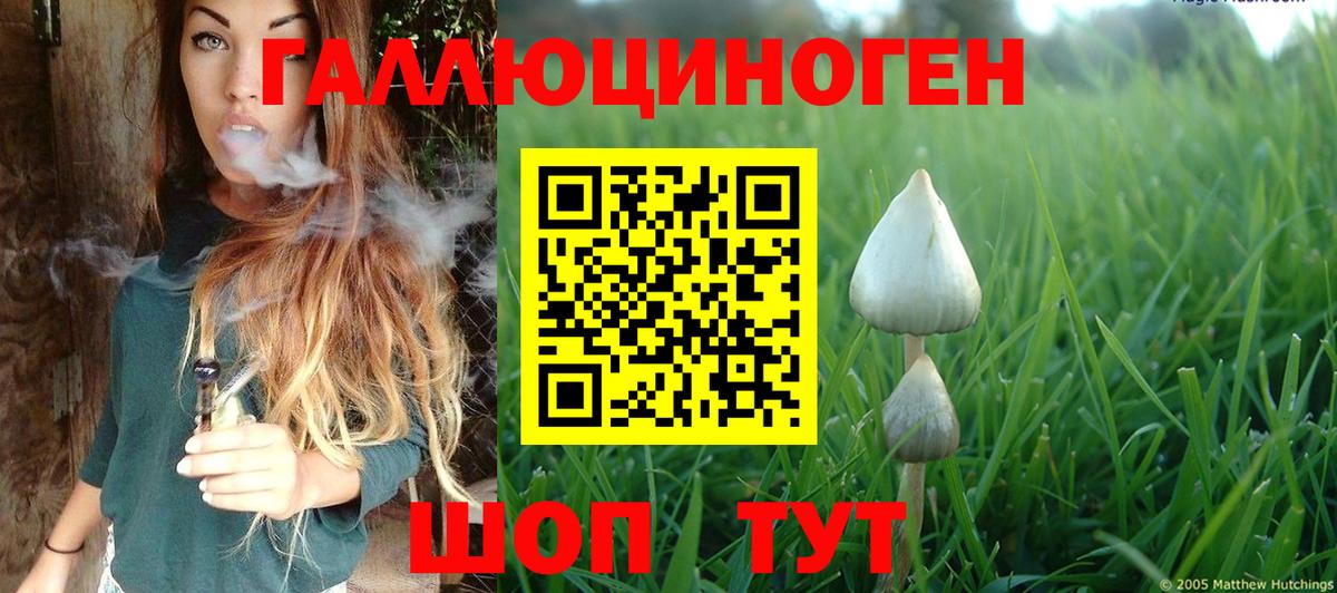 Усть-Кут  Псилоцибиновые грибы Psilocybe  даркнет сайт  Вход с VPN  Псилоцибиновые грибы мухоморы 
